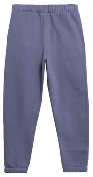 ДЕТСКИЕ СПОРТИВНЫЕ БРЮКИ 4F ДЛЯ МАЛЬЧИКОВ, ХЛОПОК AW23M419