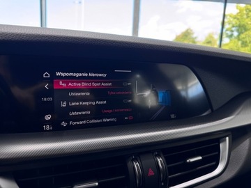 Alfa Romeo Stelvio SUV Facelifting 2.0 Turbo 280KM 2020 Alfa Romeo Stelvio Veloce Q4 / 1 właściciel / Salo, zdjęcie 29