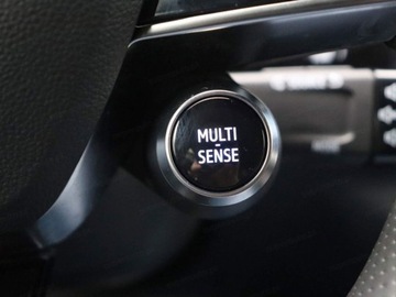 Renault Austral 1.2  E-Tech Full Hybrid 200KM 2025 Od ręki - Iconic 1.2 E-Tech 200KM / Pakiet Advanced Driving Assist, zdjęcie 6