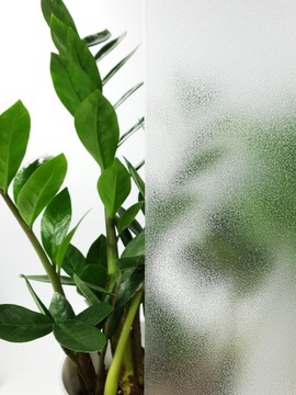 Самоклеящаяся оконная фольга матовое матовое стекло для защиты окон