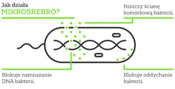 3 АНТИБАКТЕРИАЛЬНЫХ КОНТЕЙНЕРА ДЛЯ ПИЩЕВЫХ ПИЩЕВ 350 мл
