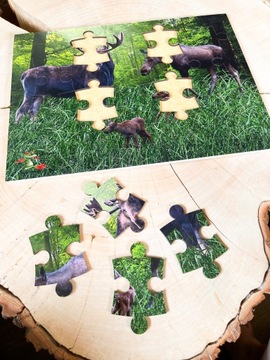 Деревянный пазл про лося, лесной пазл, набор