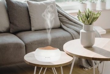 Лидер среди фирменных эко-масляных диффузоров AROMA ZEN.