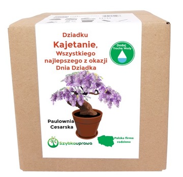 Zestaw BONSAI paulownia Dzień Dziadka Kajetan