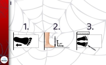 3Kamido Детские вейдерсы, вейдерсы, вейдерсы - SPIDER, серый 29/30