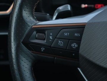 Cupra 2022 Cupra Formentor 1.5 TSI, Salon Polska, Serwis ASO, zdjęcie 19