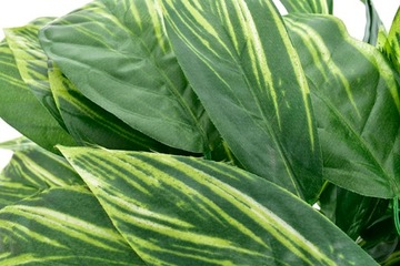 ИСКУССТВЕННОЕ ДЕРЕВО ЦВЕТОЧНЫЙ ГОРШОК ЦВЕТЫ ИСКУССТВЕННЫЕ ЛИСТЬЯ ГОСТИНАЯ КОМНАТА ДОМ ПОДАРОК