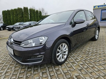 Volkswagen Golf VII Hatchback 3d 1.4 TSI BlueMotion Technology 125KM 2015 Volkswagen Golf 1,4 benzyna 125KM nawigacja kamera