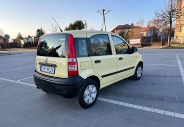 Fiat Panda II Hatchback 5d 1.1 MPI 54KM 2010 Fiat Panda Fiat Panda 1.1 Active, zdjęcie 21