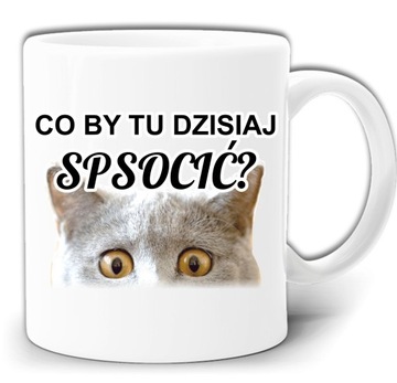 CO BY TU DZISIAJ SPSOCIĆ KOT KUBEK + PUDEŁKO GW699