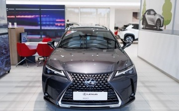 Lexus UX 2024 Lexus UX 300h Omotenashi AWD 2.0 Hybryda 199KM, zdjęcie 1