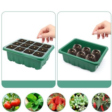 5X МИНИ-ТЕПЛИЦА С СВЕТОМ, ЛОТОК ДЛЯ РАЗМНОЖЕНИЯ ТЕПЛИЧНИКОВ