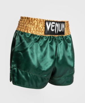 Классические шорты Venum Muay Thai, зеленый/золотой/белый M