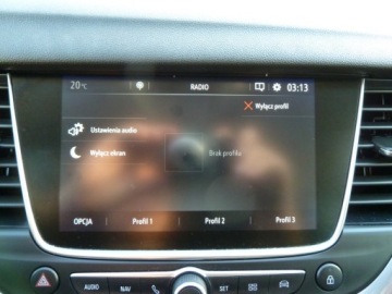 Opel 2018 Opel Grandland X PARKTRONICNAWIGACJA PLKLIMATYZACJAELEKT. KLAPA BAGAZNIKA, zdjęcie 18