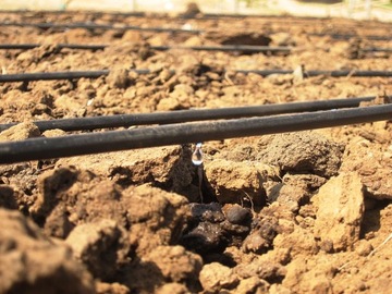 КАПЕЛЬНЫЙ ШЛАНГ/ЛИНИЯ 100м с КОМПЕНСАЦИЕЙ Fi16мм 1,6л/ч каждые 33см