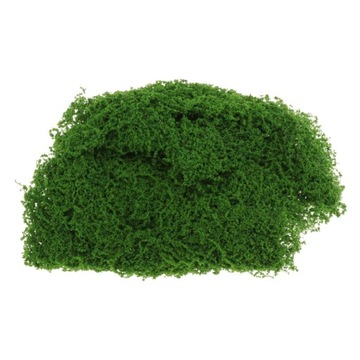 1 opakowanie 10 g Model Static Grass Powder, sztuc