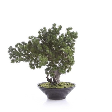 drzewko modrzew sztuczny BONSAI LARCH 37 cm
