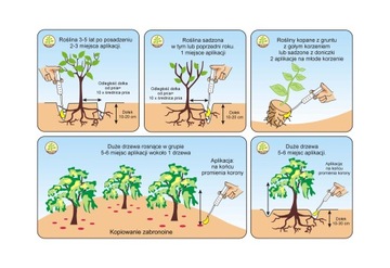 МИКОРИЗА для ХВОЙНЫХ МИКОФЛОР 1Л.