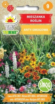ANTYSMOGOWA MIESZANKA ROŚLIN Nasiona 2g