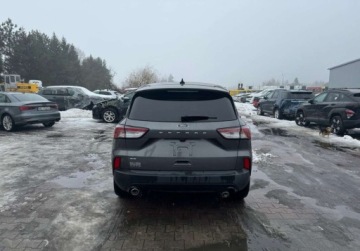 Ford Kuga III 2021 Ford Kuga 2021 Ford Kuga 4x4 - w POLSCE po wszystkich oplatach 1.5 Benzyna, zdjęcie 6