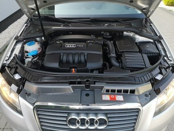 Audi A3 8P 2009 Audi A3 1.6 MPI 102KM SPORTBACK Klimatronic Isofix, zdjęcie 21