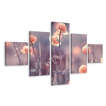 Obraz 5-Częściowy Polne KWIATY Natura 3D 250x150