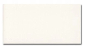 CEGIEŁKA UNICOLOR PLAQUETA BLANCO MATE 10x20 G. I