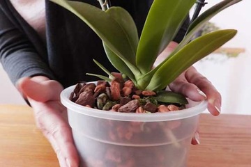 Субстрат для орхидей и орхидей Seramis Pine Bark Nitro Lime Substrate 7л