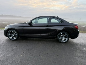 BMW Seria 2 F22-F23-F45-F46 Coupe 220i (Euro 6) 184KM 2016 BMW 220 2.0i 184KM 68tys.km. Navi Bezwypadkowy, zdjęcie 9