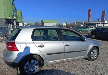 Volkswagen Golf V Hatchback 1.9 TDI 105KM 2005 Volkswagen Golf Volkswagen Golf 1.9 Diesel 105KM, zdjęcie 3