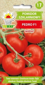 POMIDOR PEDRO F1 SZKLARNIOWY WYSOKI 0,2 g 'T