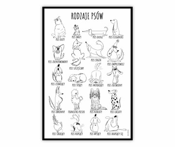 Grafika plakat z psami RODZAJE PSÓW A3 - 29,7x42cm