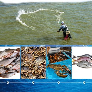 Ручная рыболовная сеть длиной 2,4 м.