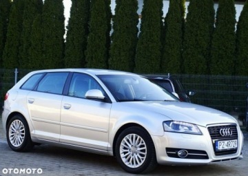 Audi A3 8P Hatchback 3d 1.9 TDI 105KM 2009 Audi A3 Sportback Audi A3 Sportback 1.9 Diesel 105KM, zdjęcie 5