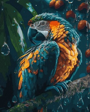 Malowanie Po Numerach z ramą Zestaw Obraz Piękna Papuga 40x50cm