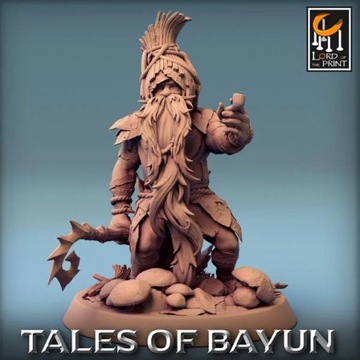 Гном Боровичок Отряд