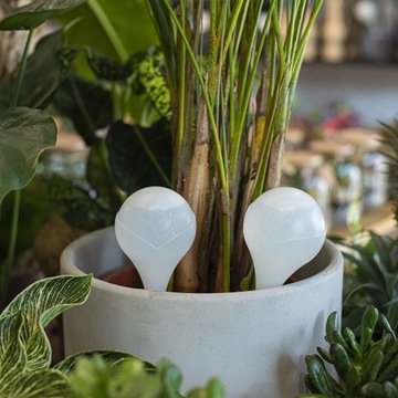 ШАРИКИ ДЛЯ ПОЛИВАНИЯ ДЛЯ ЦВЕТОВ В ГОРШКАХ РАСТЕНИЙ НАБОР ДИСПЕНСЕРОВ ВОДЫ 8 шт.