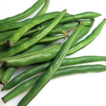 Fasola szparagowa karłowa DELFINA 30g