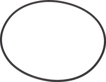 Pierścień uszczelniający o-ring