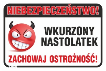 Zabawna tabliczka na drzwi 200x300mm PCV
