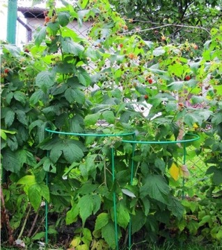 ПЕРГОЛА САДОВАЯ ОПОРА ДЛЯ ЦВЕТОЧНЫХ РАСТЕНИЙ 115 СМ