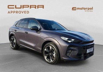 Cupra Terramar SUV 1.5 eTSI 150KM 2025 Cupra Terramar Pakiety, SENNHEISER, Sportowe fotele, ACC, Panorama, Bezwy, zdjęcie 14