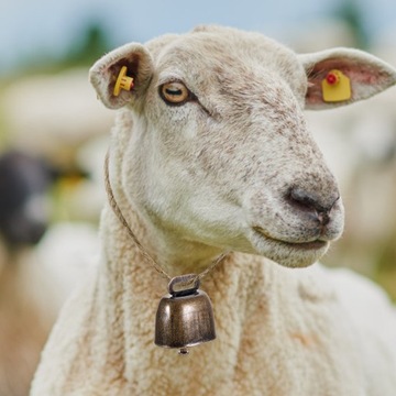 Рождественские украшения с открытыми колокольчиками и металлическими животными