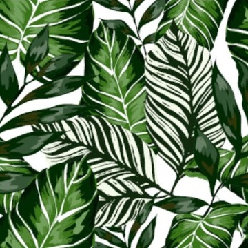 45cm Okleina meblowa dekoracyjna biało zielona liście Monstera