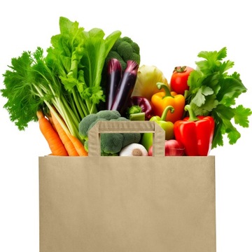 БУМАЖНЫЙ ПАКЕТ ДЛЯ ПИТАНИЯ КОРИЧНЕВЫЙ 260/140/320мм 26/14/32см 50ШТ +ПРИНТ