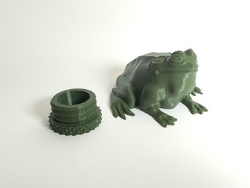 Маскировка, тайник Большая лягушка. Геокешинг