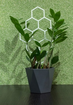 PODPÓRKA KWIATÓW ROŚLIN PERGOLA MIÓD 37cm