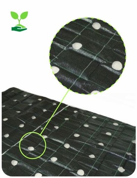AGROTKANINA Z OTWORAMI POD SAŁATĘ OGÓRKI CEBULE CZOSNEK ITP 1,10 X 10m Z UV