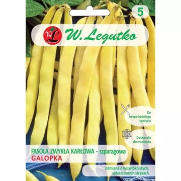 Nasiona Fasola karłowa Galopka 40g Legutko