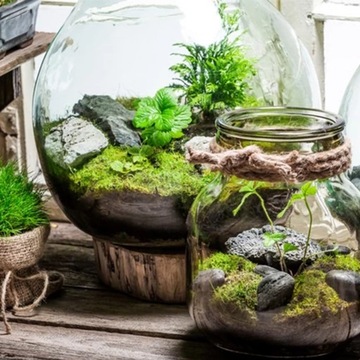 Песок Белый Белоснежный ЛЕС В СТЕКЛЯННОЙ БАНКЕ 1КГ